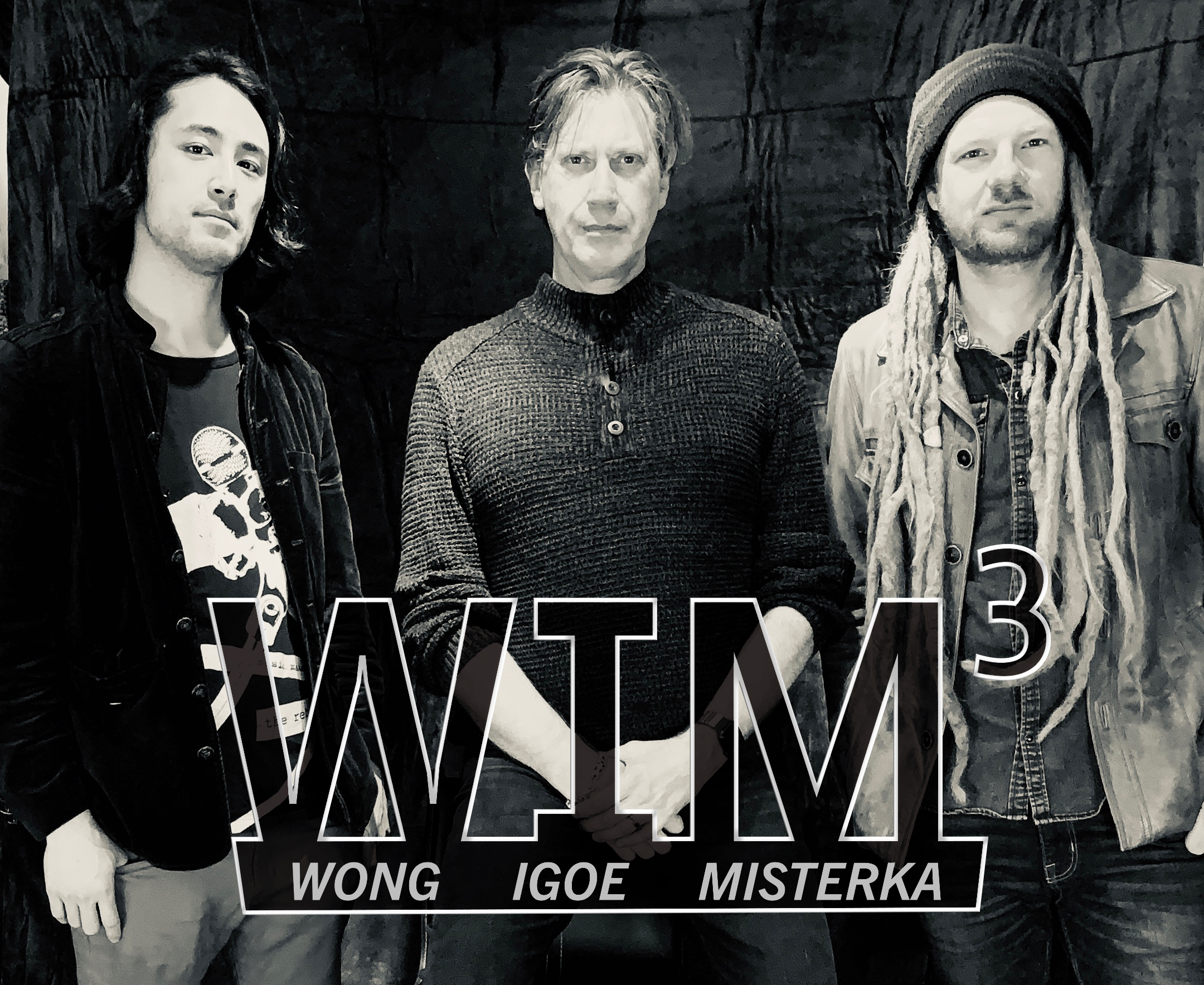 Image for THE WIM TRIO: WONG - IGOE - MISTERKA